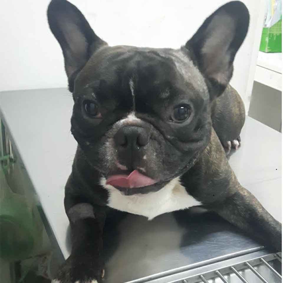 พี่เสือใหญ่ ใจกล้ามาทำหมันกับคุณหมอไอเว็ท พี่เสือใหญ่ ใจกล้ามาทำหมันกับคุณหมอไอเว็ท